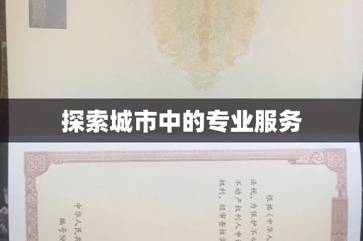 兰州探索城市中的专业服务